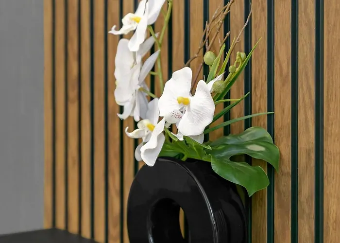 Gilbert - Design Centre Виши