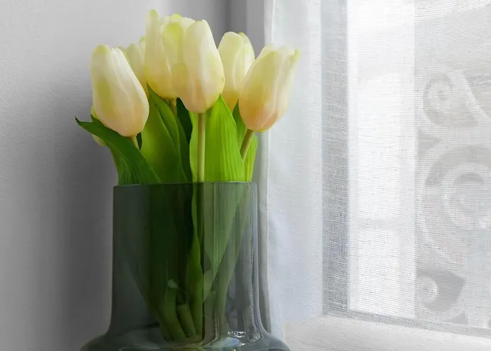 Gilbert - Design Centre *